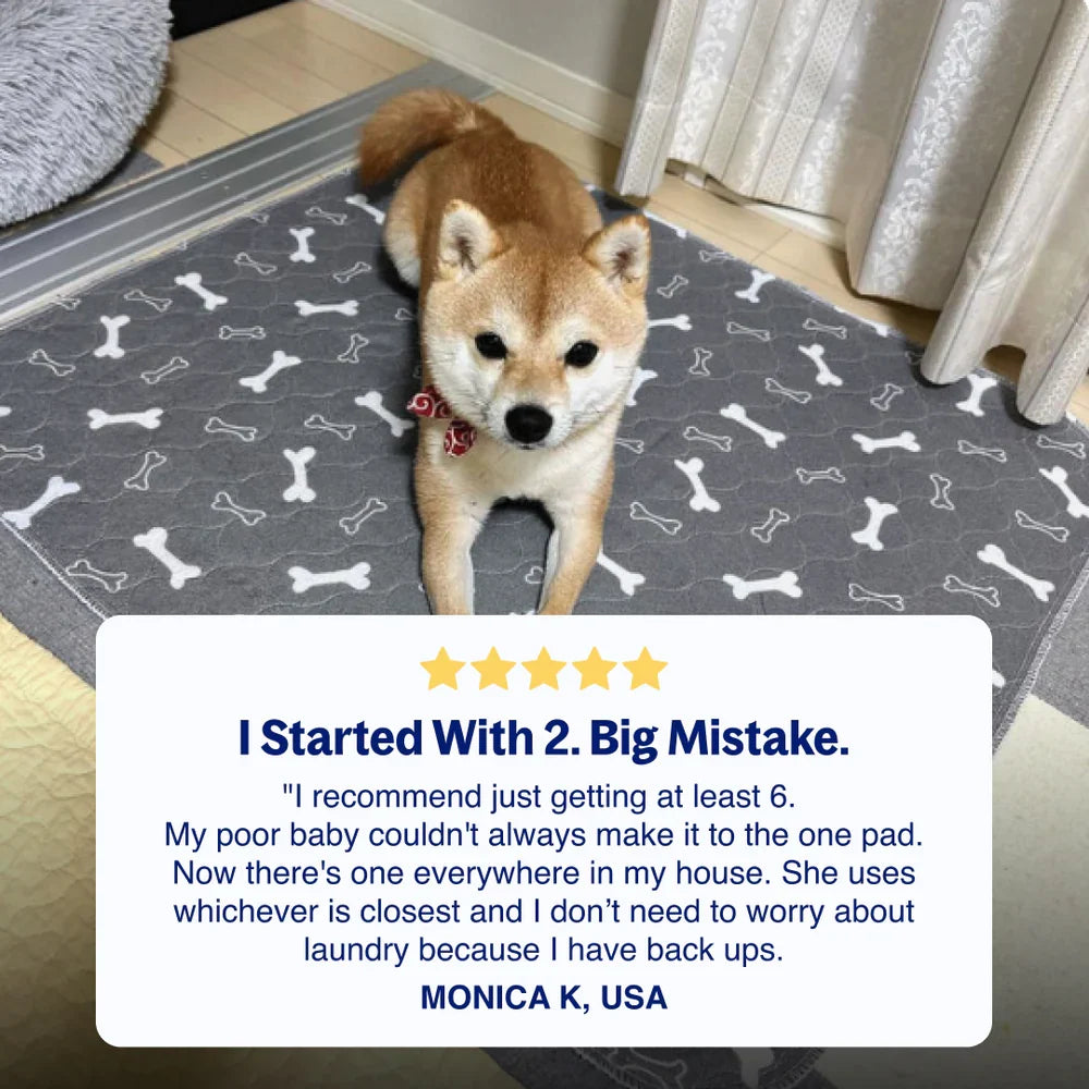 PupPad™ Reusable Dog Pee Pad.