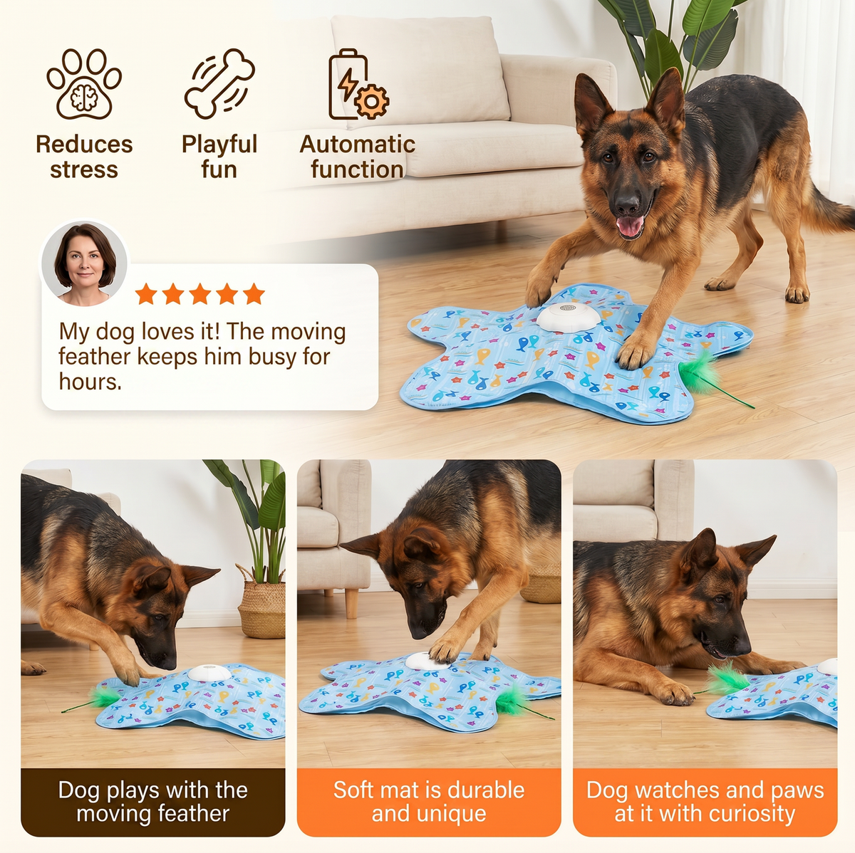 Dog Playing With Interactive Moving Toy
