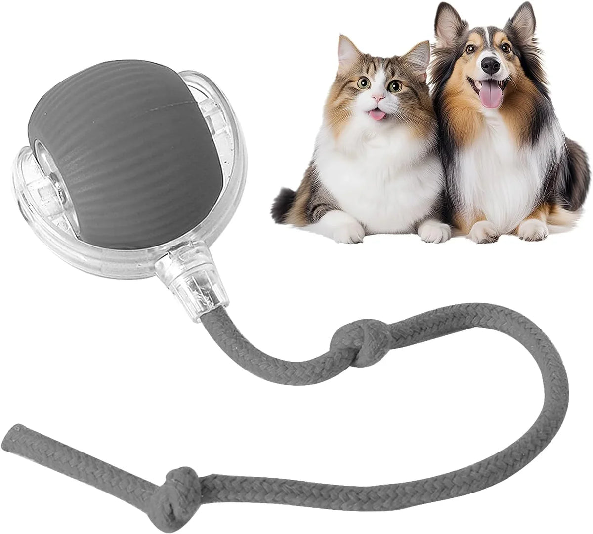 The Ultimate Smart Ball for Playful Pets