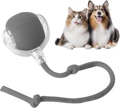 The Ultimate Smart Ball for Playful Pets
