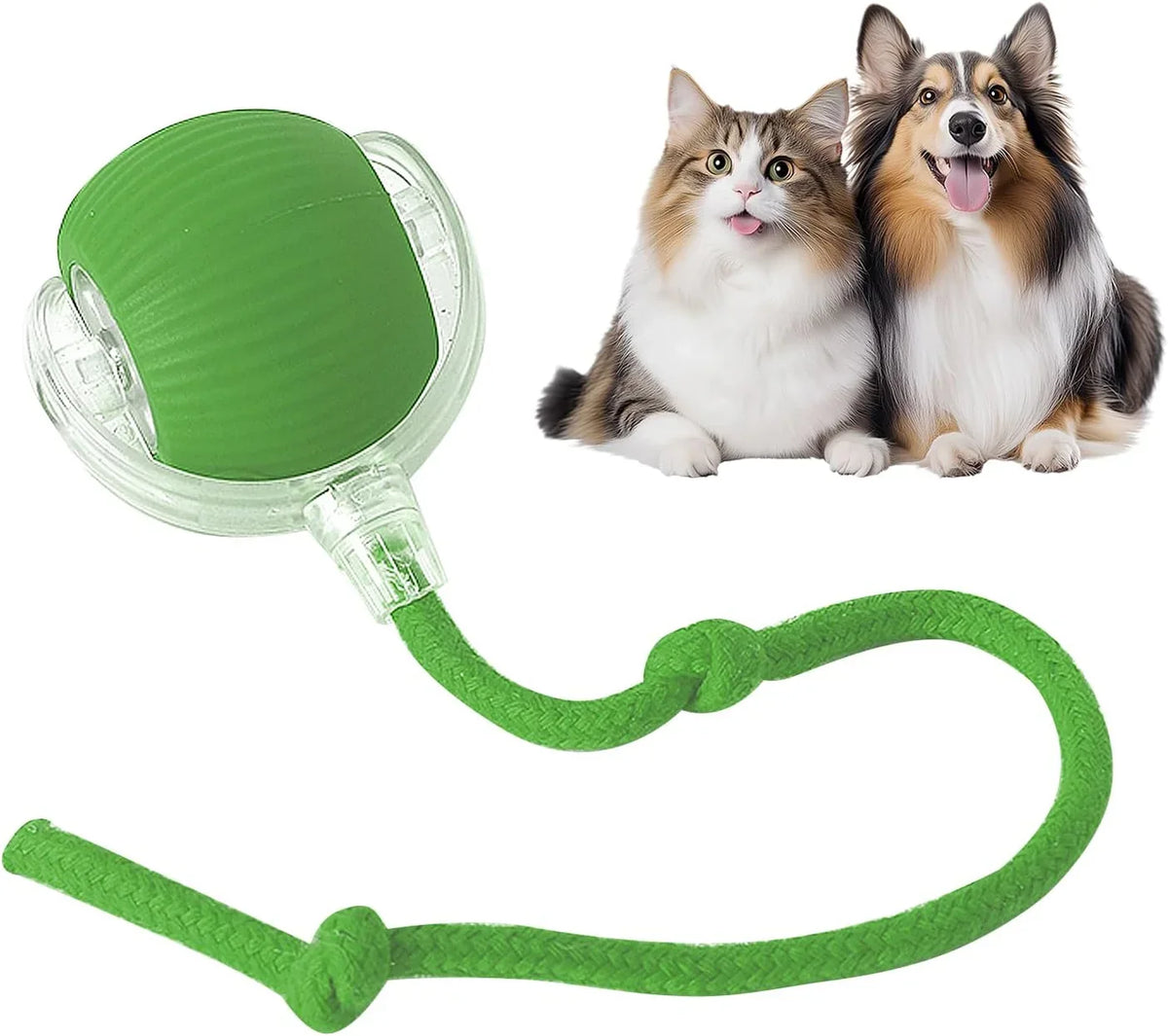 The Ultimate Smart Ball for Playful Pets